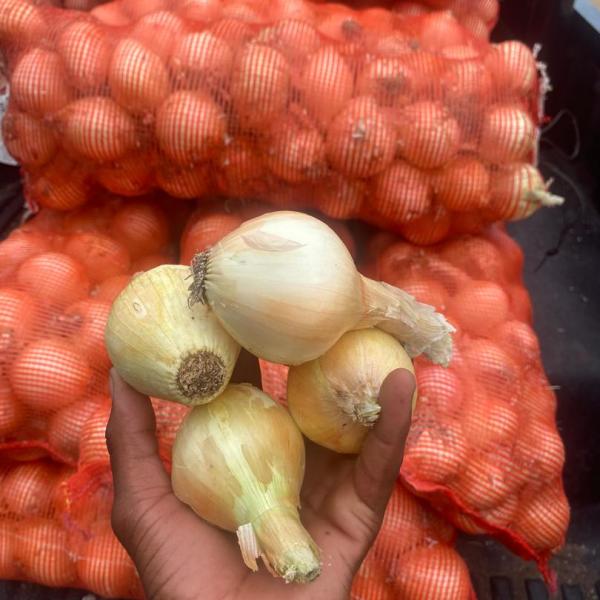 Onions